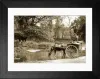 Postman with horse-drawn cart, Findon, near Worthing Framed Print