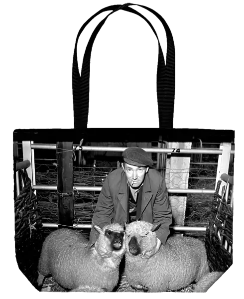 Shepherd with two sheep, 1955