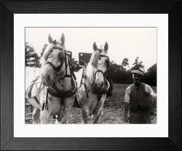 Framed Print : West Grinstead Ploughing Match Framed Print : West Grinstead Ploughing Match