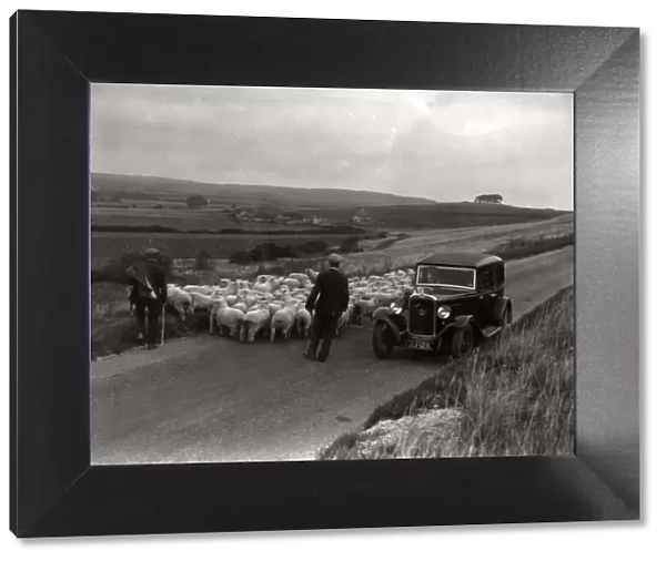 On the way to Findon Sheep Fair, 14 September 1935