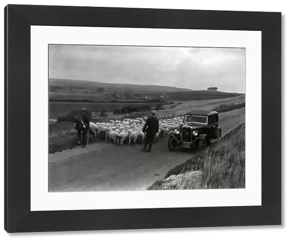 On the way to Findon Sheep Fair, 14 September 1935