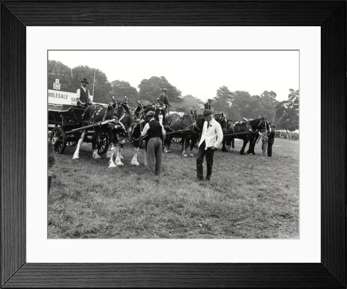 Framed Print : Sussex Show, Chichester Framed Print : Sussex Show, Chichester