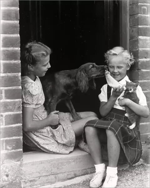 Two girls playing with dog and kitten, 1949