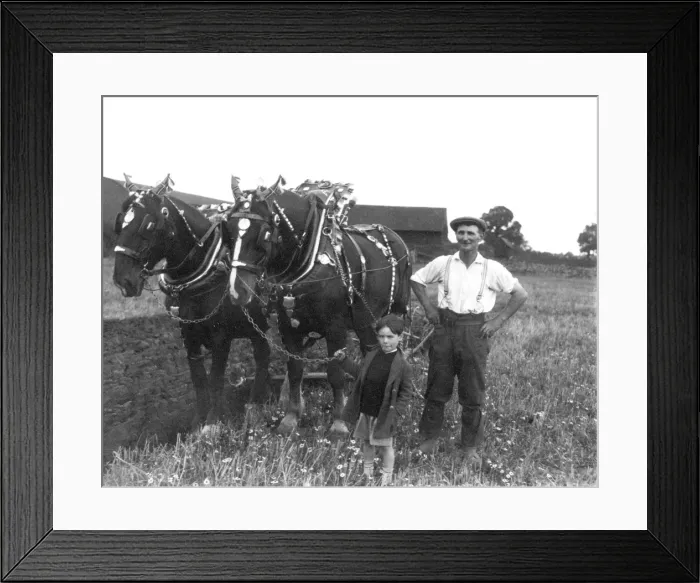 Framed Print : Chiddingfold Ploughing Match Framed Print : Chiddingfold Ploughing Match