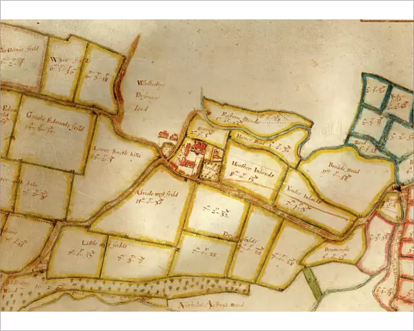 Map of the manor of Woolbeding, 1652