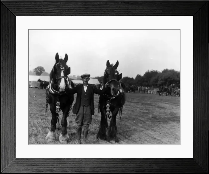 Framed Print : Petworth Ploughing Match, October 1937 Framed Print : Petworth Ploughing Match, October 1937