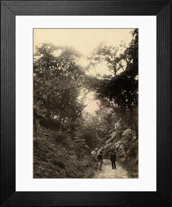 Framed Print : Red Hill Hollows in Fittleworth, 30 July 1893 Framed Print : Red Hill Hollows in Fittleworth, 30 July 1893