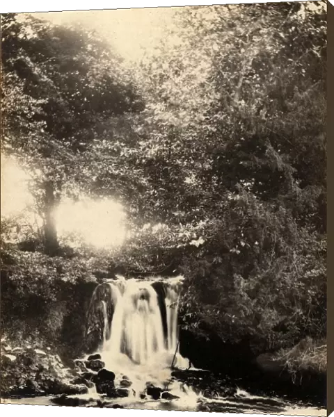 A waterfall in Fittleworth, 30 July 1893
