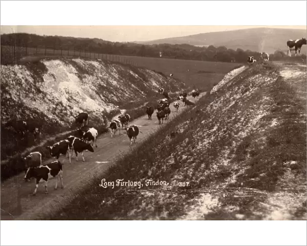 Long Furlong at Findon, c 1924