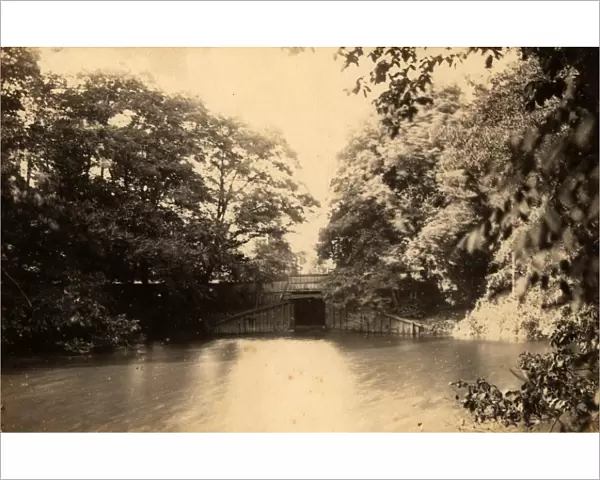 The mill pond at Barcombe, 26 July 1890