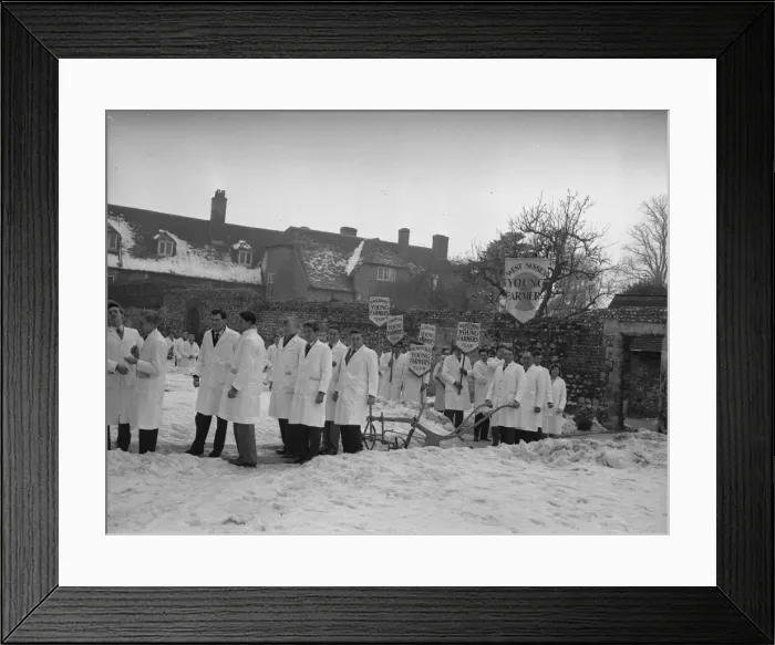Framed Print : West Sussex Young Farmers Plough Sunday in the snow Framed Print : West Sussex Young Farmers Plough Sunday in the snow