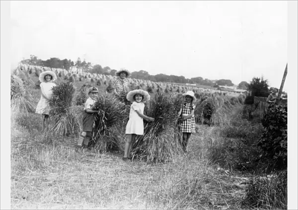 Harvesting, children helping. 1929