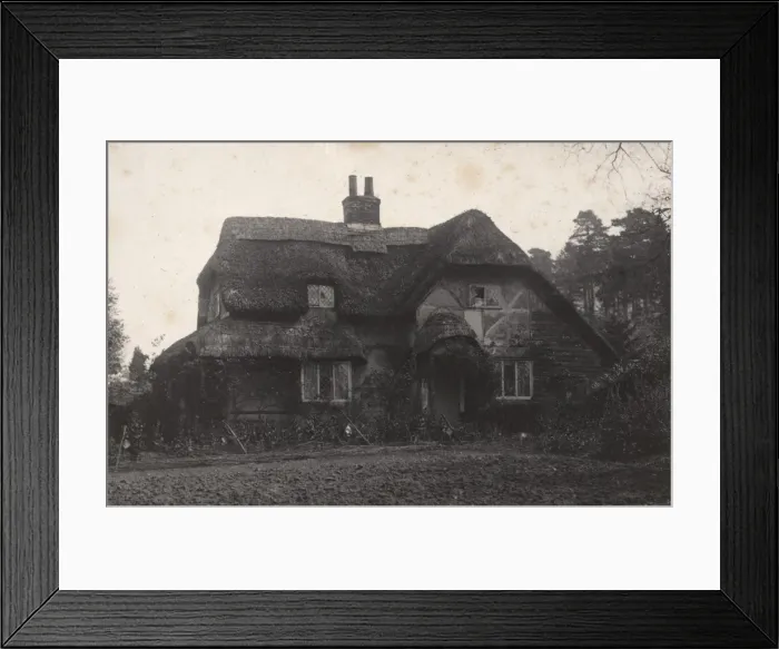Framed Print : A thatched cottage in Midhurst, c1900 Framed Print : A thatched cottage in Midhurst, c1900