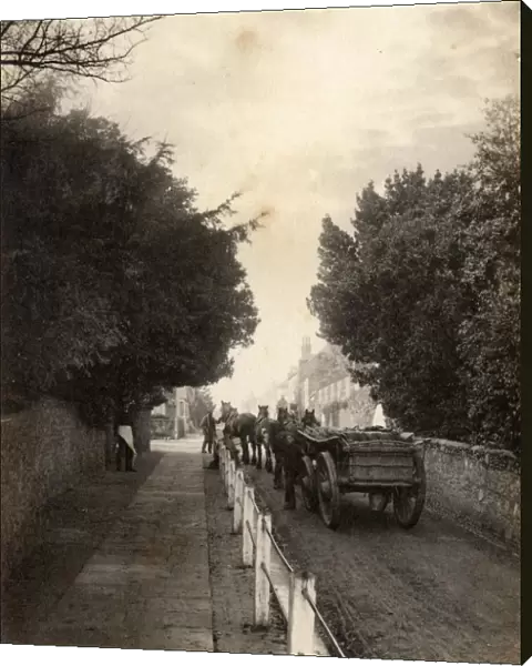 A team of horses pulling a cart up a street in Winchelsea, 6 November 1890