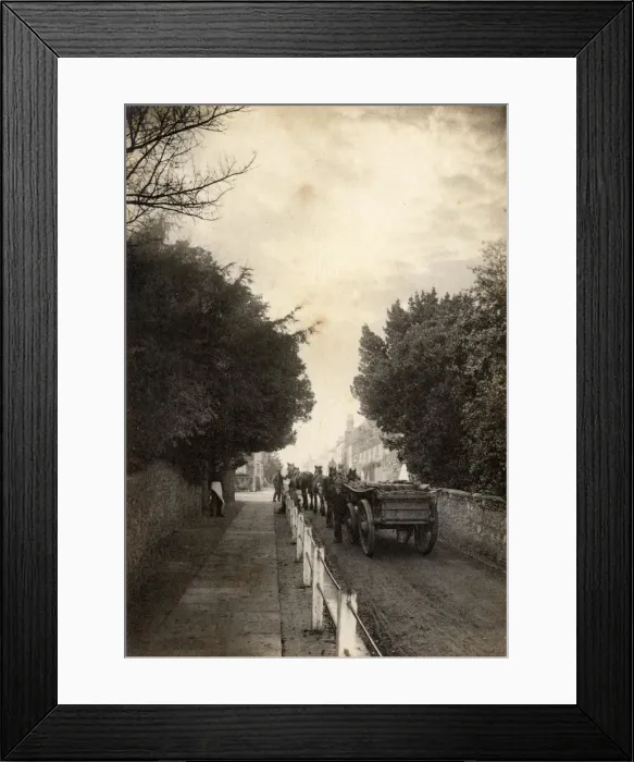 Framed Print : A team of horses pulling a cart up a street in Winchelsea, 6 November 1890 Framed Print : A team of horses pulling a cart up a street in Winchelsea, 6 November 1890