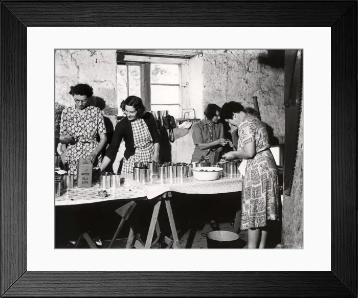 Framed Print : Fittleworth Womens Institute canning tomatoes at Mill House Framed Print : Fittleworth Womens Institute canning tomatoes at Mill House