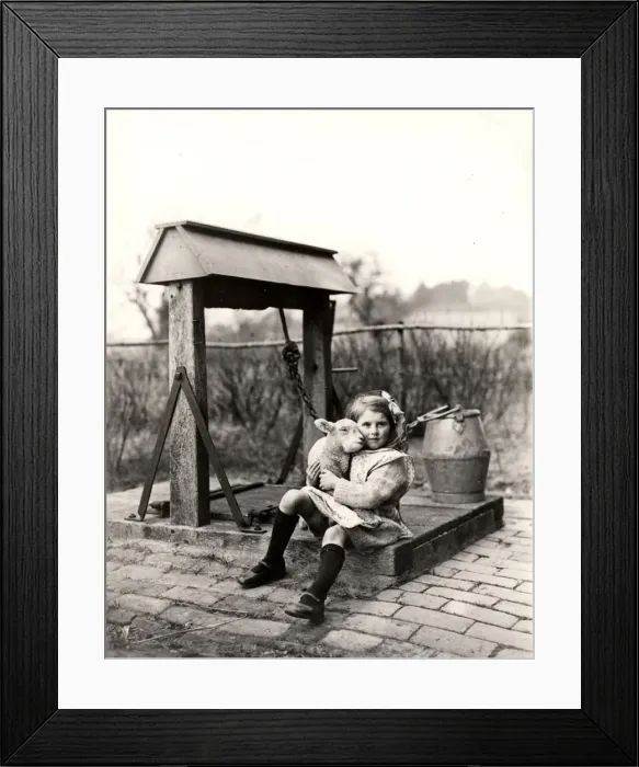 Framed Print : Lamb and girl at Hoes Farm, Sussex Framed Print : Lamb and girl at Hoes Farm, Sussex