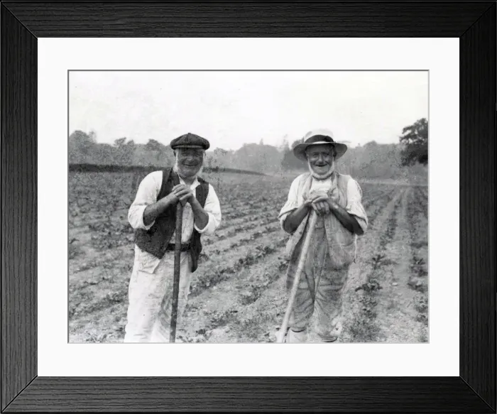 Framed Print : Two country gentlemen in a Sussex field Framed Print : Two country gentlemen in a Sussex field