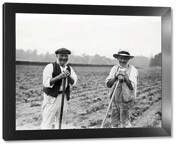 Two farming men in a field