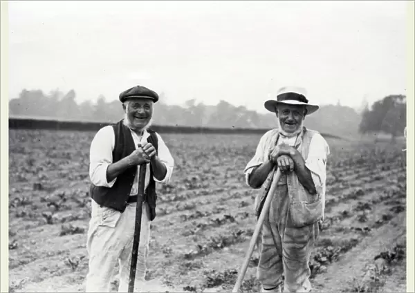 Two farming men in a field