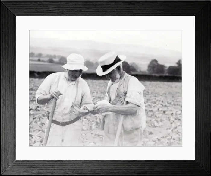 Framed Print : Two elderly men in a field in Sussex Framed Print : Two elderly men in a field in Sussex
