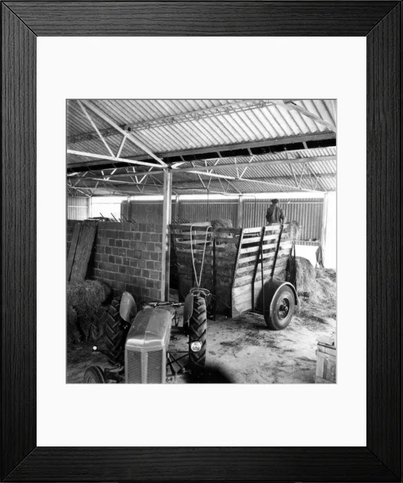: Old tractor and cart in a barn : Old tractor and cart in a barn