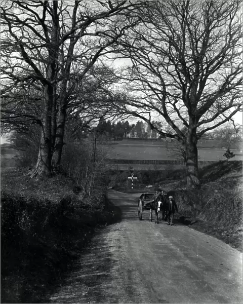 Horse and cart in country lane in Sussex