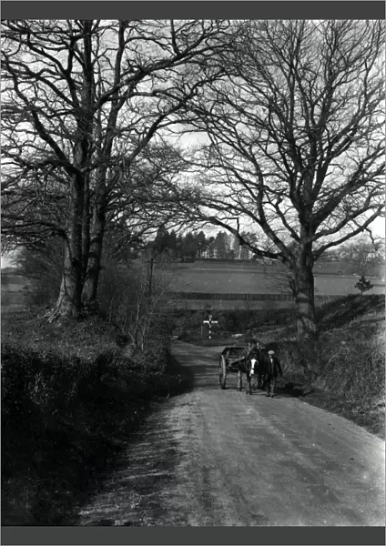 Horse and cart in country lane in Sussex