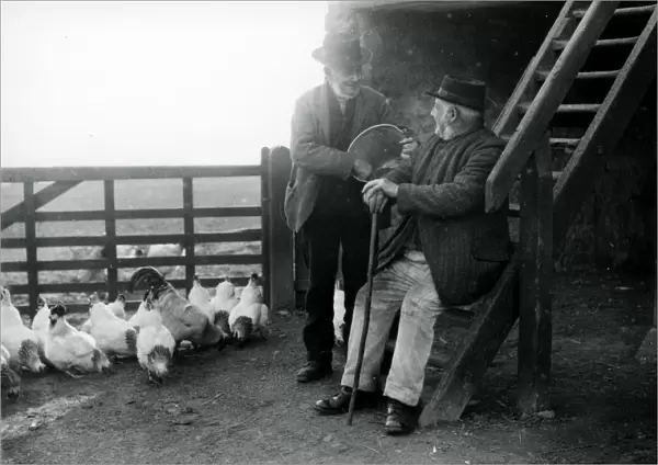 Two elderly gentlemen feeding chickens at a farm in Sussex