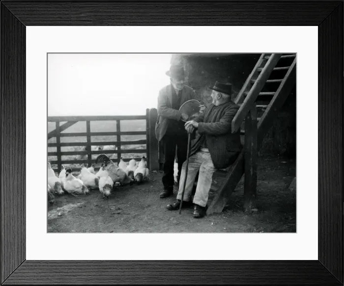 Framed Print : Two elderly gentlemen feeding chickens at a farm in Sussex Framed Print : Two elderly gentlemen feeding chickens at a farm in Sussex