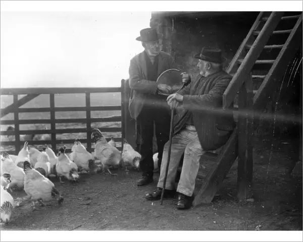 Two country folk feeding chickens in farm in Sussex