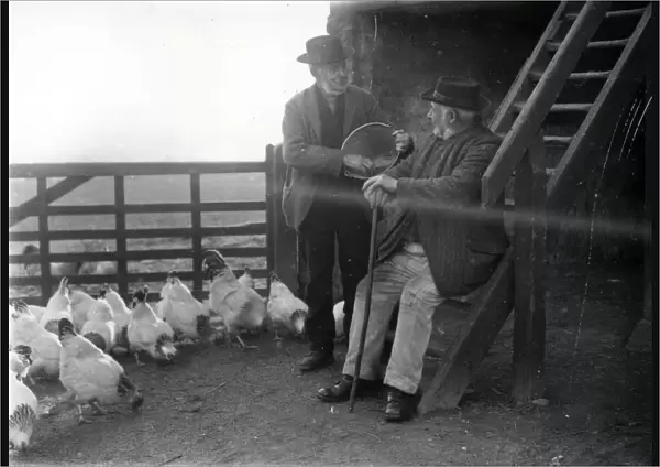 Two country folk feeding chickens in farm in Sussex
