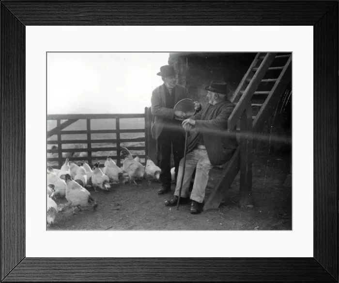 Framed Print : Two country folk feeding chickens in farm in Sussex Framed Print : Two country folk feeding chickens in farm in Sussex