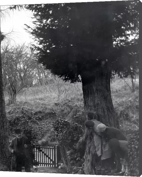 Children hiding from elderly gentleman at Upperton, Sussex December 1935