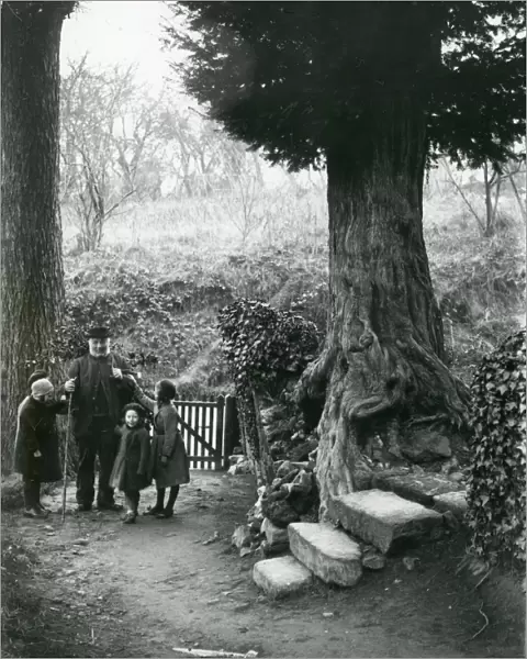 Old man and children walking in the country, December 1935