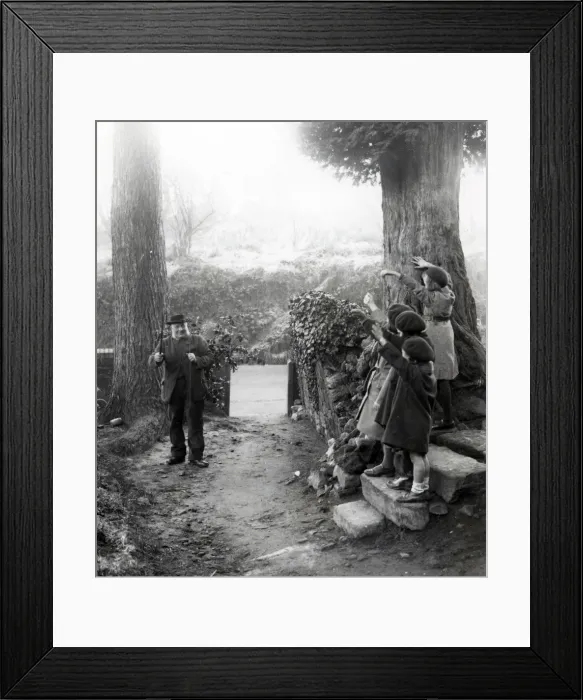 Framed Print : Country scene in holly woods at Upperton, Sussex, December 1935 Framed Print : Country scene in holly woods at Upperton, Sussex, December 1935