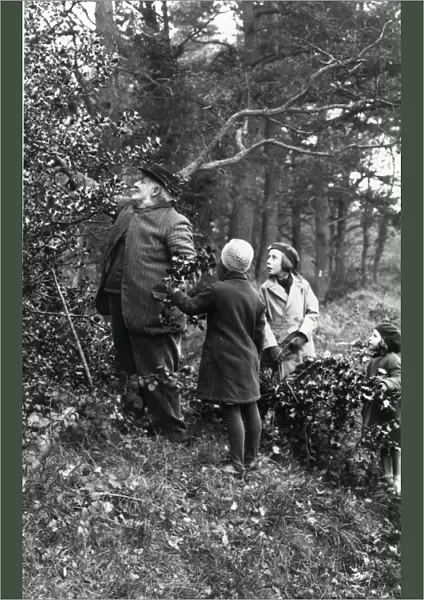 Holly gathering in woods at Upperton, Sussex, December 1935