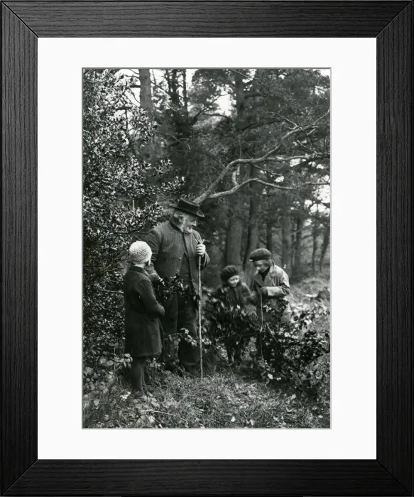 Framed Print : Group gathering holly at Upperton, Sussex, December 1935 Framed Print : Group gathering holly at Upperton, Sussex, December 1935