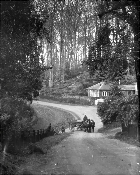 Horse and wagon in a country lane in Dean, Sussex, January 1935