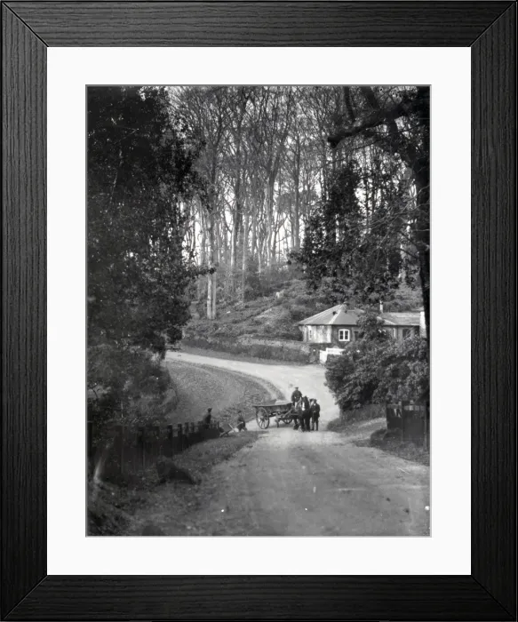Framed Print : Horse and wagon in a country lane in Dean, Sussex, January 1935 Framed Print : Horse and wagon in a country lane in Dean, Sussex, January 1935