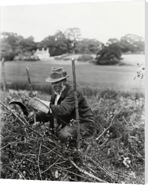 Country gentleman making new fence, September 1938