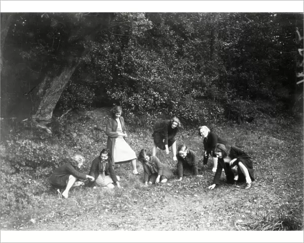 Acorn picking at Fittleworth, October 1939