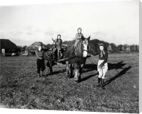 Four young girls with carthorse pulling a cart, December 1941