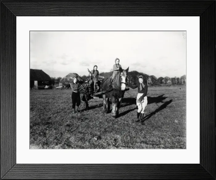 Framed Print : Four young girls with carthorse pulling a cart, December 1941 Framed Print : Four young girls with carthorse pulling a cart, December 1941