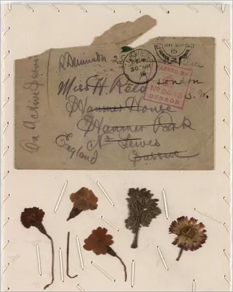 Card depicting dried flowers from the Front, World War 1