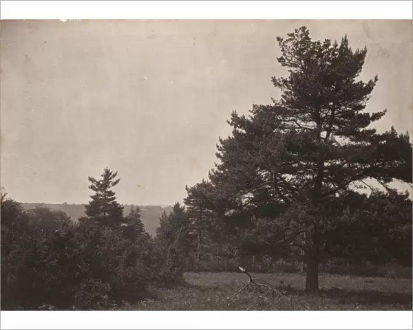 Ashdown Forest, 1908
