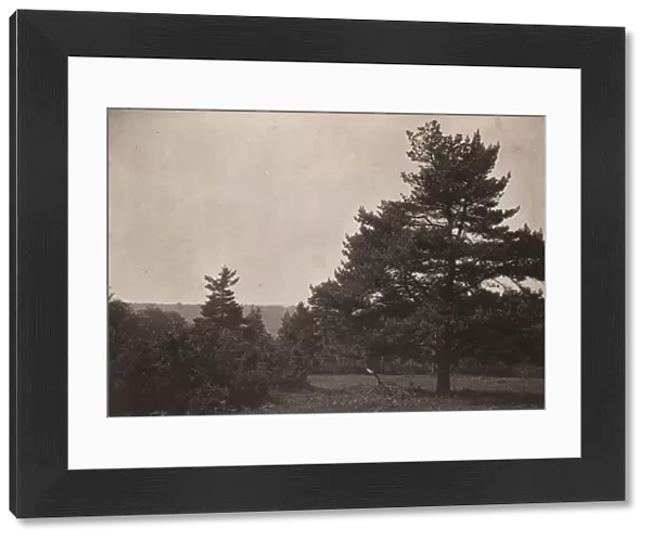 Ashdown Forest, 1908