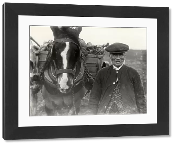 Elderly country gentleman with horse and cart, c1932