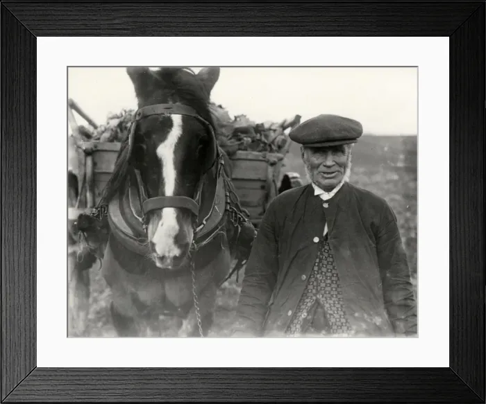Framed Print : Elderly country gentleman with horse and cart, c1932 Framed Print : Elderly country gentleman with horse and cart, c1932