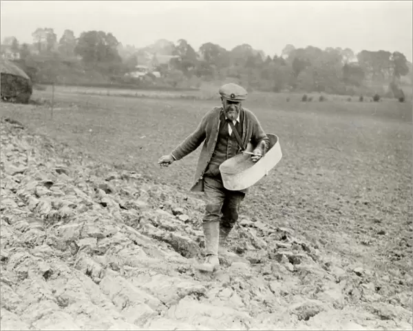 Farm hand sowing winter wheat at Bury, Sussex, November 1932